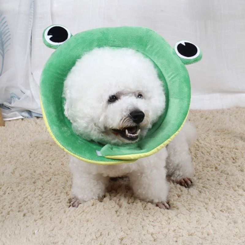 ZENITHMIND Collier Conique pour Chien