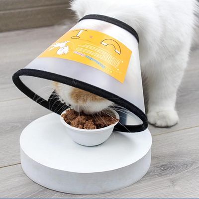 ZENITHMIND Collier pour Chien, Cône Anti - Morsure(Cou:26.5-37.5cm)