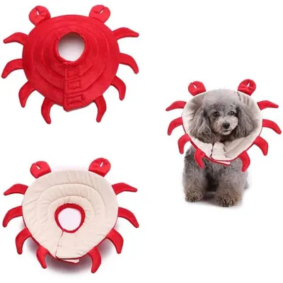 ZENITHMIND Collier conique pour animaux de compagnie