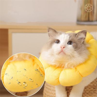 ZENITHMIND Tournesol doux pour la récupération de chat