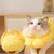 ZENITHMIND Tournesol doux pour la récupération de chat