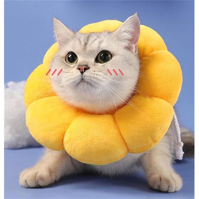 ZENITHMIND Tournesol doux pour la récupération de chat