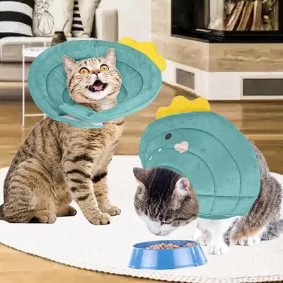 ZENITHMIND Collerette Chat Anti Lechage Orange vert