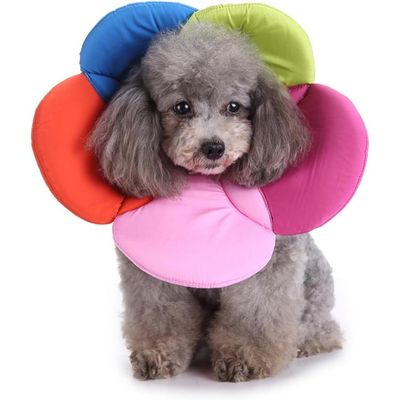 ZENITHMIND Collier gonflables pour Chiens et Chats