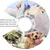 ZENITHMIND Collier Conique pour Chien ZENITHMIND Collier Conique pour Chien