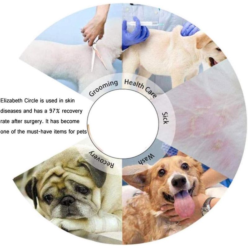 ZENITHMIND Collier Conique pour Chien