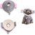 ZENITHMIND Collier Conique pour Chien