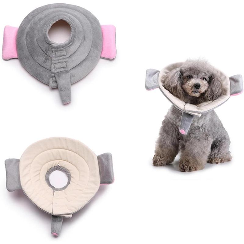 ZENITHMIND Collier Conique pour Chien