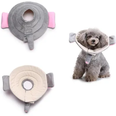 ZENITHMIND Collier Conique pour Chien ZENITHMIND Collier Conique pour Chien