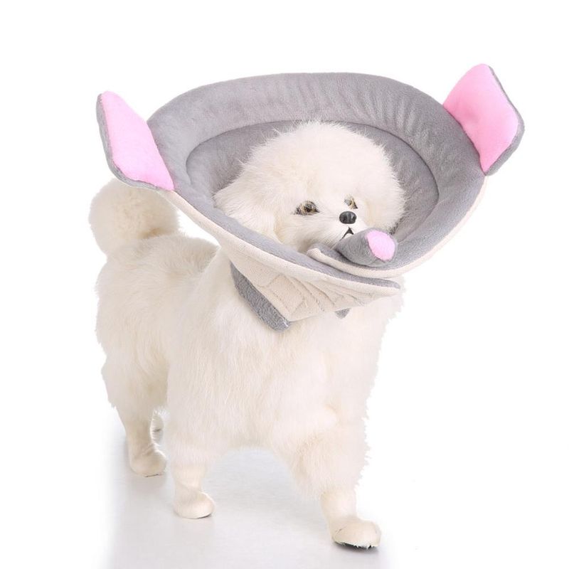 ZENITHMIND Collier Conique pour Chien