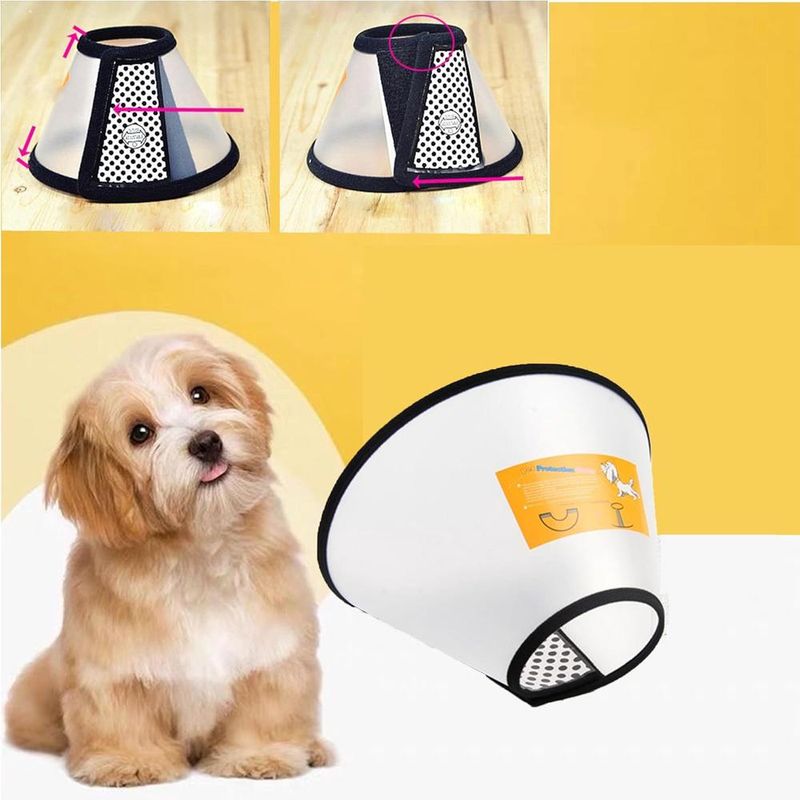 ZENITHMIND Collier pour Chien, Cône Anti - Morsure(Cou:14.5-21cm)