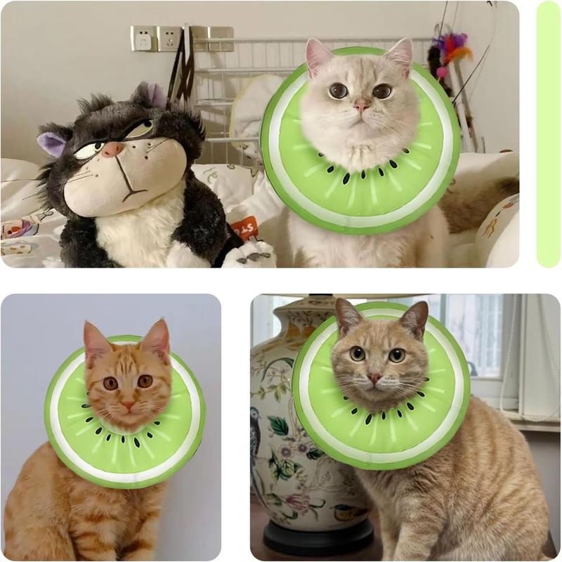 ZENITHMIND Colerette Anti Lechage