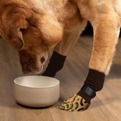 Chaussettes antidérapantes double face pour chien