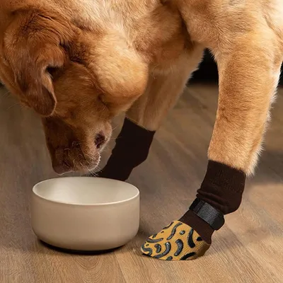 Chaussettes antidérapantes double face pour chien