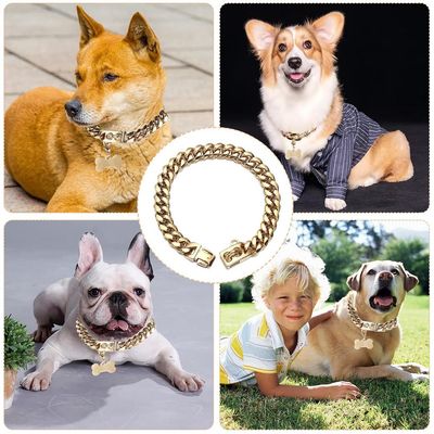 ZENITHMIND Collier pour Chien Solide en Acier