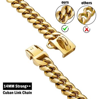 ZENITHMIND Collier pour Chien Solide en Acier