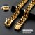 ZENITHMIND Collier pour Chien Solide en Acier
