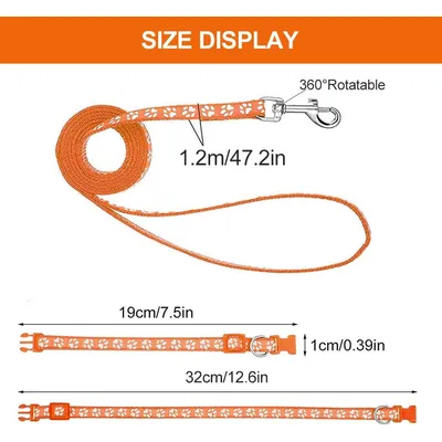 KPYTE Colliers et laisses pour chiens