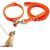 KPYTE Colliers et laisses pour chiens