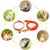 KPYTE Colliers et laisses pour chiens