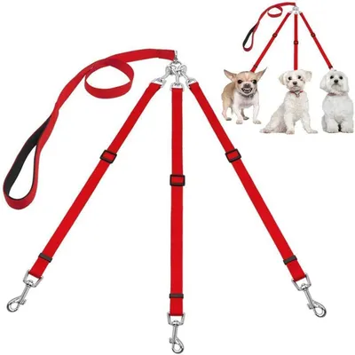 LovuPet Laisses pour Chien 3 en 1 Laisse,Multi-Animaux SéParateur De Laisse