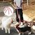 LovuPet Laisses pour Chien 3 en 1 Laisse,Multi-Animaux SéParateur De Laisse