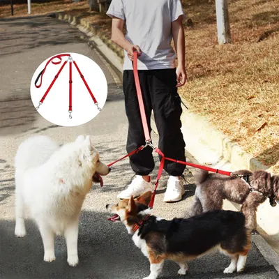 LovuPet Laisses pour Chien 3 en 1 Laisse,Multi-Animaux SéParateur De Laisse