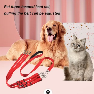 LovuPet Laisses pour Chien 3 en 1 Laisse,Multi-Animaux SéParateur De Laisse