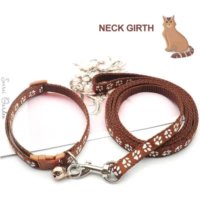 KPYTE Colliers et laisses pour chiens