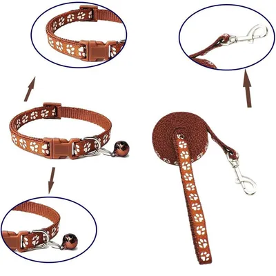 KPYTE Colliers et laisses pour chiens