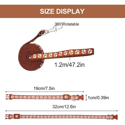 KPYTE Colliers et laisses pour chiens