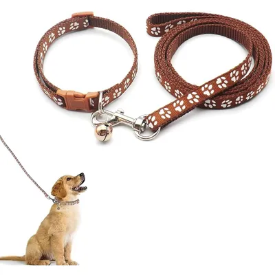 KPYTE Colliers et laisses pour chiens