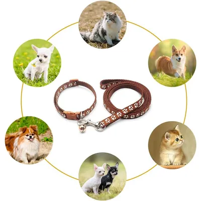 KPYTE Colliers et laisses pour chiens