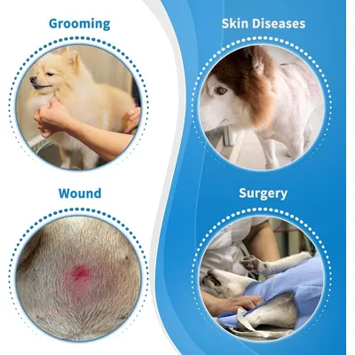 ZENITHMIND Collerette Souple et Légère pour Chien