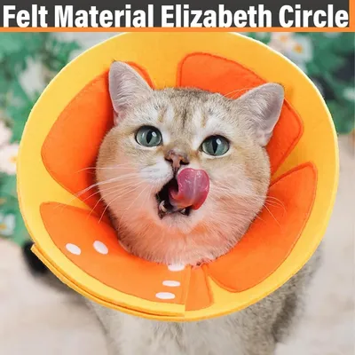 ZENITHMIND Anti-Léchage Réglable Collerette Souple