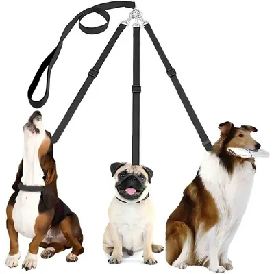 LovuPet Laisses pour Chien 3 en 1 Laisse,Multi-Animaux SéParateur De Laisse