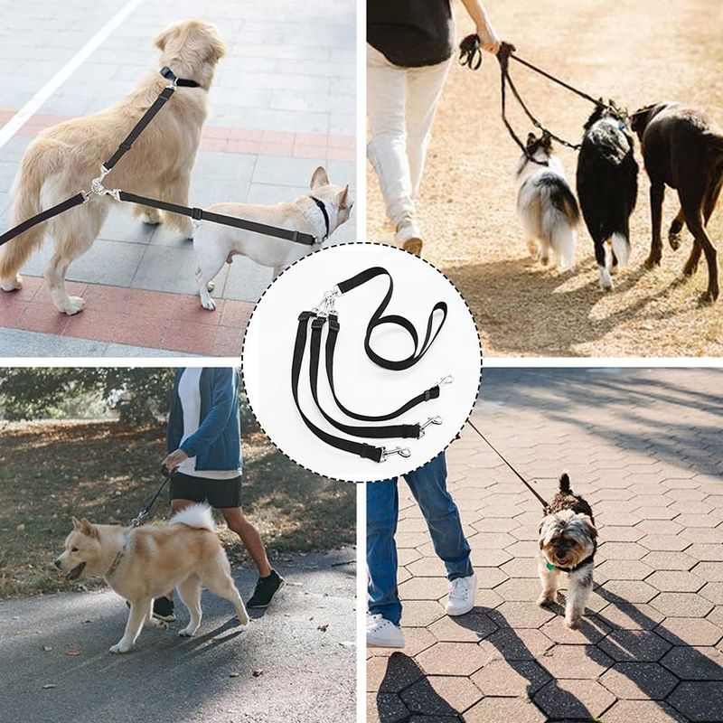 LovuPet Laisses pour Chien 3 en 1 Laisse,Multi-Animaux SéParateur De Laisse
