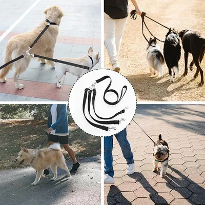 LovuPet Laisses pour Chien 3 en 1 Laisse,Multi-Animaux SéParateur De Laisse
