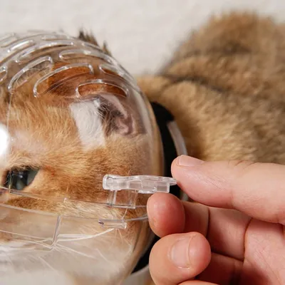 ZENITHMIND Muselière respirante anti-morsure pour chat