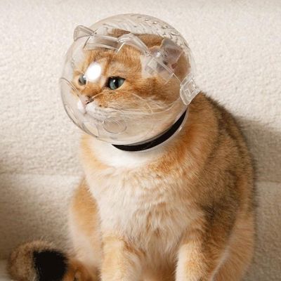 ZENITHMIND Muselière respirante anti-morsure pour chat
