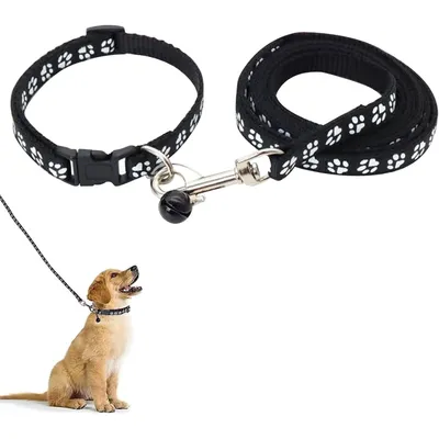 KPYTE Colliers et laisses pour chiens