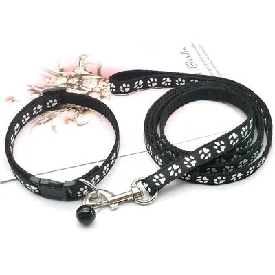 KPYTE Colliers et laisses pour chiens