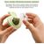LovuPet 3 Pièces Jouet Boule d'herbe à Chat Rotative à 360°