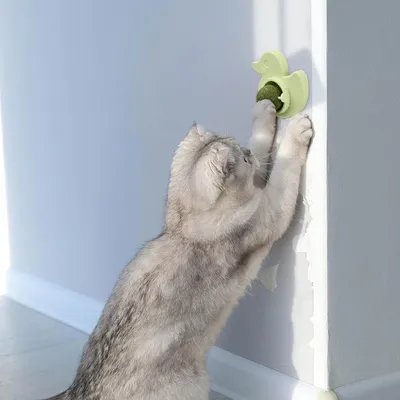 LovuPet 3 Pièces Jouet Boule d'herbe à Chat Rotative à 360°