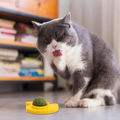 LovuPet 3 Pièces Jouet Boule d'herbe à Chat Rotative à 360°