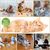 LovuPet Jouet pour Chat,Peluche pour Chat Jouets,Jouet Interactif pour Chat