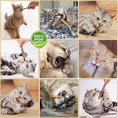 LovuPet Jouet pour Chat,Peluche pour Chat Jouets,Jouet Interactif pour Chat