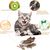 LovuPet Jouet pour Chat,Peluche pour Chat Jouets,Jouet Interactif pour Chat