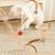 LovuPet 6Pcs Jouet Balles Rebon-dissantes en Plumes pour Chat