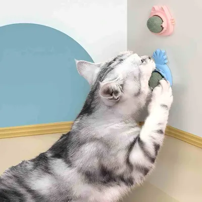 LovuPet 3 Pcs Jouets de Boule d'herbe à Chat Rotative à 360°